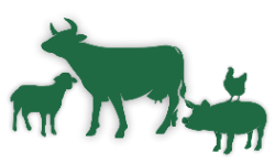 Rikey Maciel - logo VERDE.png